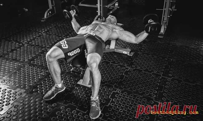 Разведения гантелей лежа. Лекарство от хилой груди | bestbodyblog.com