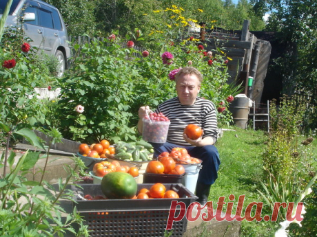 Урожайные грядки от Игоря Лядова. Запоминаем на будущий год