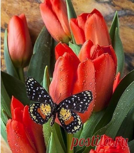 Всё, что мы посылаем в жизнь других людей — возвращается в нашу собственную...Сегодня я хочу пожелать каждому из вас капельку тепла, которая бы грела вас каждую минуту... Несмотря ни на что..