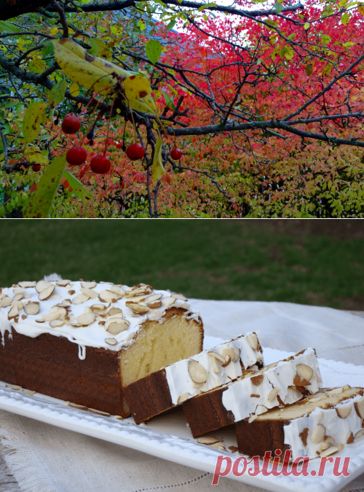 condensed milk cake