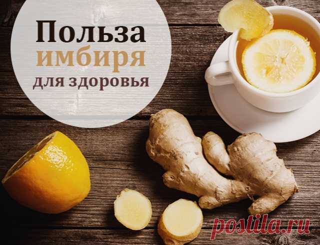 Польза имбиря для организма человека и здоровья | Польза кореня имбиря для здоровья женщин (инфографика)