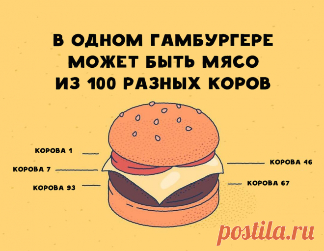 Каждый год в один день ваш шанс уйти в мир иной выше на 14%, чем в любой другой. Неожиданные факты наглядно | Супер! | Яндекс Дзен