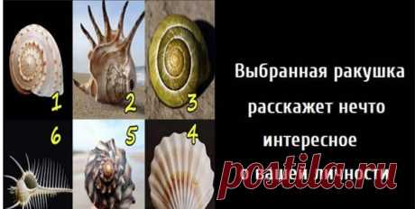 Выбранная ракушка расскажет нечто интересное о вашей личности. Вспомните лето, море и ракушки — взгляните на эти ракушки на фотографиях. Какая из них Вас больше всего привлекает?

Выберите ту, которая вам нравится больше всего! А теперь прочтите расшифровку описания.

Ракушка #1
Показать полностью...