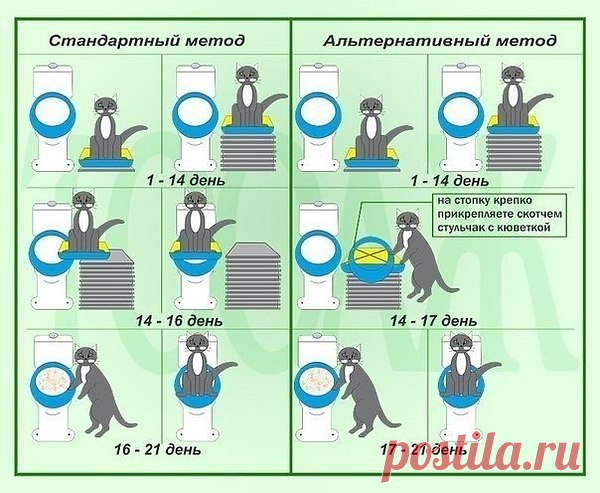 Интересные новости