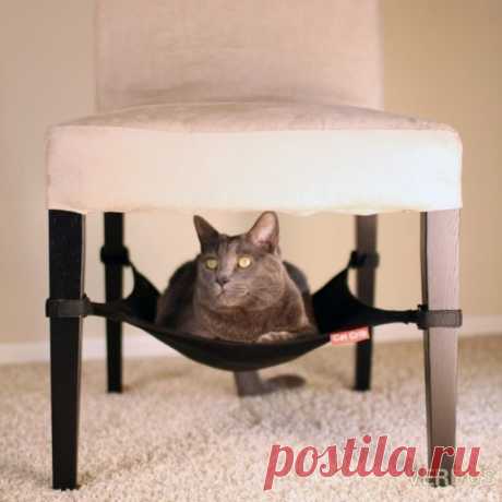 Вещи, которые захочет иметь ваша кошка. 






























