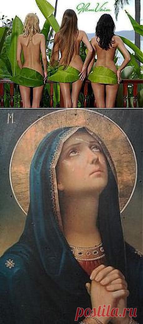 (50) Одноклассники