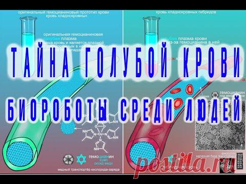 Тайна Голубой Крови: Биороботы Cреди Людей / Виктор Максименков