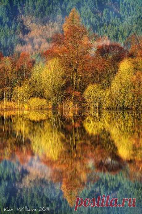 fall,  flickr от Shuggie!!  |  Pinterest: инструмент для поиска и хранения интересных идей