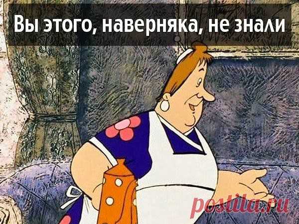 Хозяйкам. - Блог Не лапулька на 24open.ru