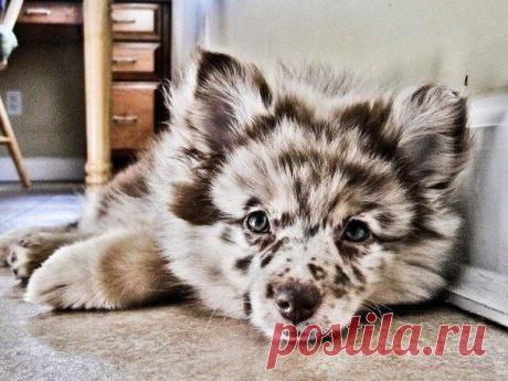 Travelerr.ru - путешествие по планете