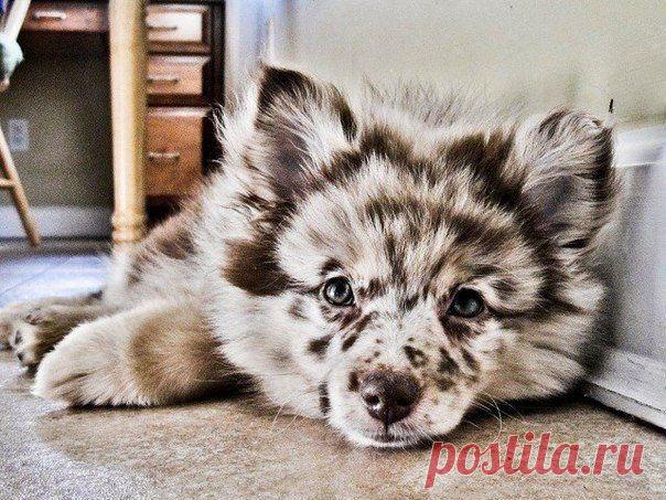 Travelerr.ru - путешествие по планете