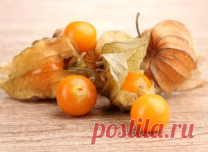 Физалис маринованный | Для дачников.ру