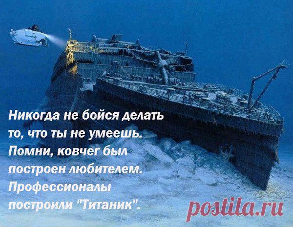 мудрые высказывания в картинках - Поиск в Google