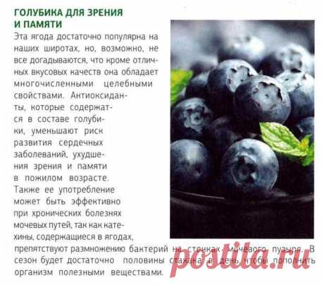 Голубика - полезные свойства