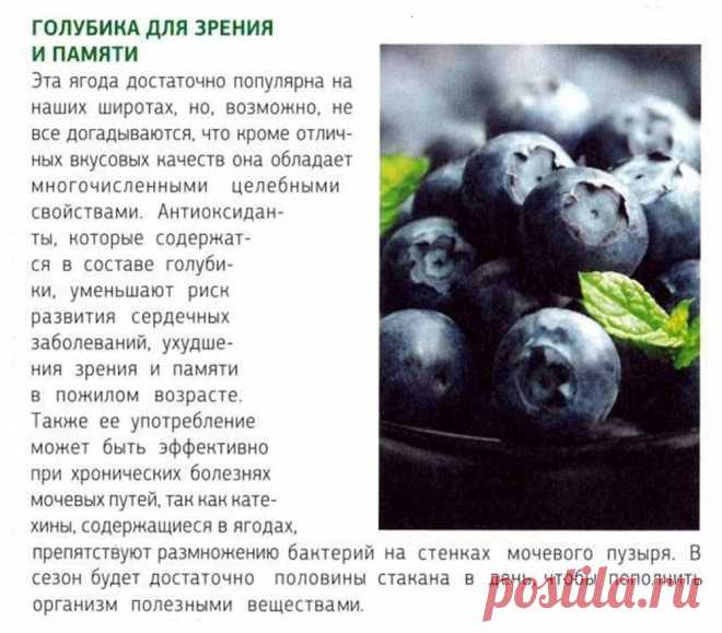 Голубика - полезные свойства