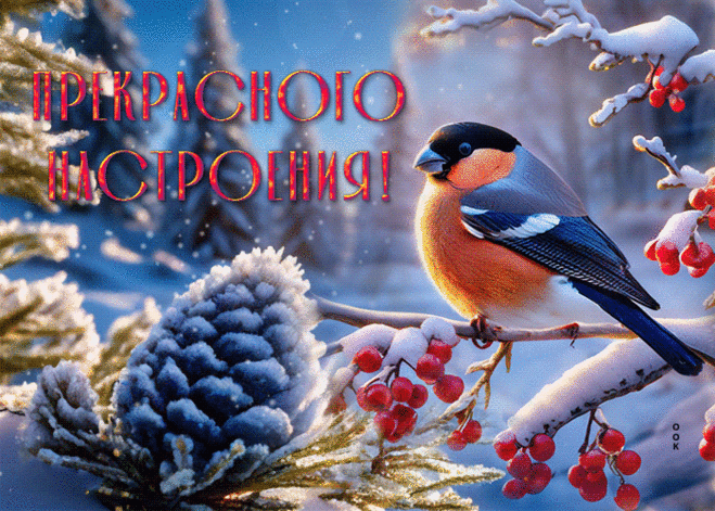 Нежная гиф-открытка, прекрасного зимнего настроения