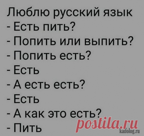 Прикольные цитаты и высказывания (40 картинок)