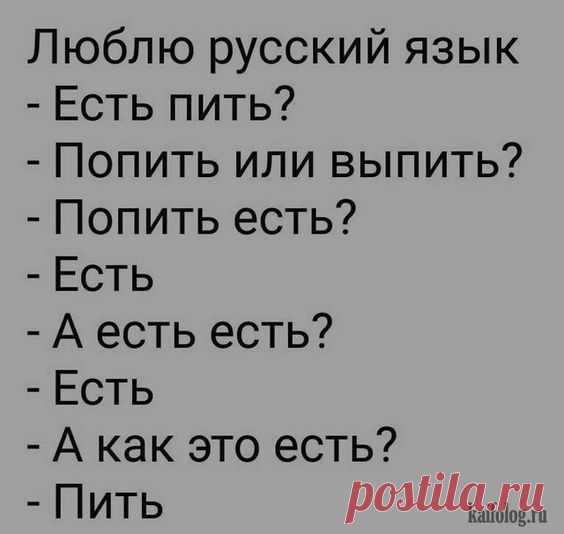 Прикольные цитаты и высказывания (40 картинок)