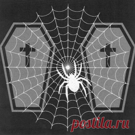 Petrified Entity - Belong (Single) (2025) 320kbps / FLAC