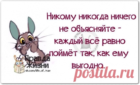 Фотографии Хроники - -‘๑’- С Нами Стыдно, зато Весело -‘๑’-