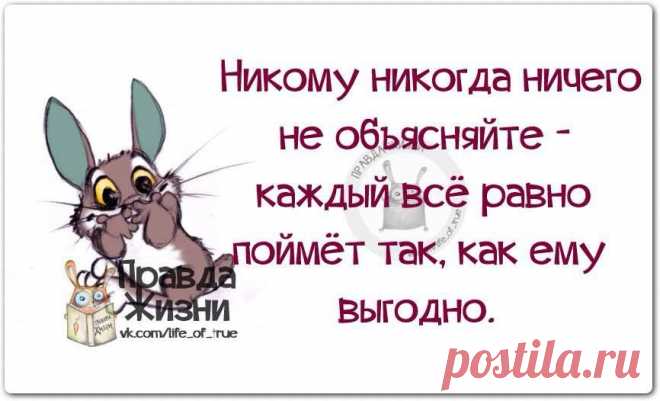 Фотографии Хроники - -‘๑’- С Нами Стыдно, зато Весело -‘๑’-