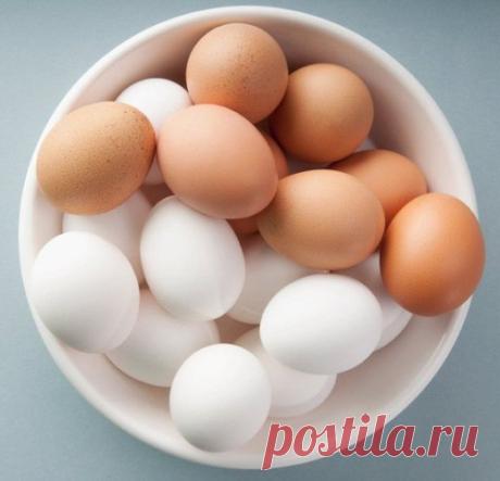 20 суперских фактов-подсказок, с которыми вы не пропадёте