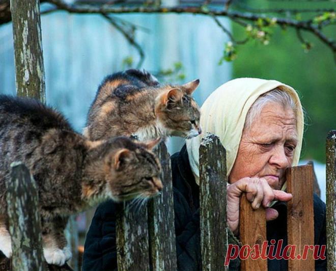 А мама утверждает, что здорова,
Вот только ноги – словно не свои,
Да только где их нынче купишь, новых.
Походим с палкой, на своих троих.
И злится на изменчивую память,
Что забывает нужные слова...
Не надо, мам! Ведь ты пока что с нами.
Спасибо тебе, мама, что жива!
Что, несмотря на годы и усталость,
В тебе ни дух, ни разум не угас.
Я знаю, мама, что тебе досталось,
Каким был горьким хлеб и кислым квас.
Но как бы жизнь тебя ни обижала,
Ты злобы не таила за душой,
И весь св...