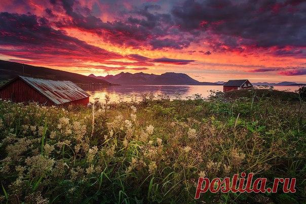 Доброе уторо