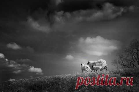 Я целовал посланья лета, Тень трав на розовых щеках.