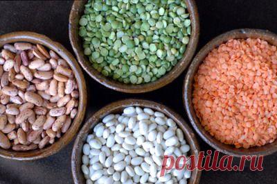 Зачем и в каком виде употреблять в пищу растительные белки - MixedNews.ru