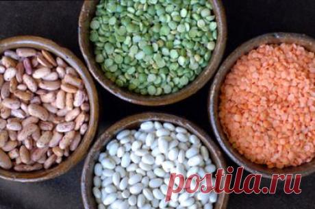 Зачем и в каком виде употреблять в пищу растительные белки - MixedNews.ru