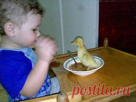 Маааааааам, ты, кажется, утку не доварила.....