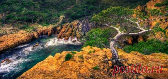 Горный ручей