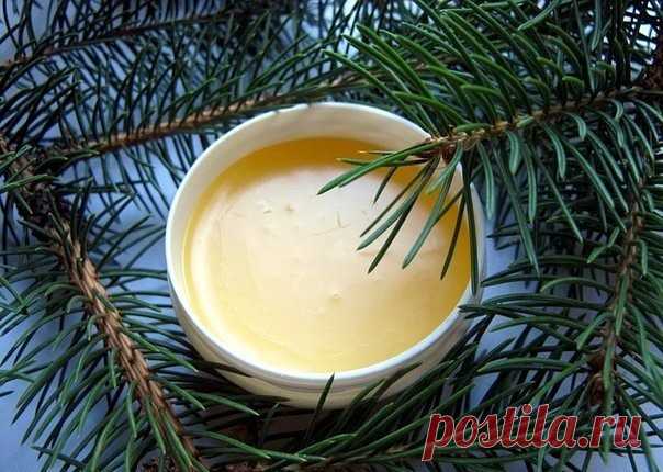 МАЗЬ ИЗ СВЕЖЕЙ ХВОИ 
 
Это рецепт мази из свежей хвои, которая залечивает все трещины на руках и пятках, герпес, экзему,язвы в частности, и прямой кишки. 
 
Хвою сосны (любой — кедровой, декоративной) собрать вдали от города (в 1 км от дороги) в любое время года. Купить 300 г свежего сливочного масла. Приготовить кастрюлю 0,5-1-2-3-литровую огнеупорную — типа чугунка или гусятницы, но внутри луженую. Нельзя брать алюминиевую и эмалированную кастрюлю. 
На дно-кладем масло с...