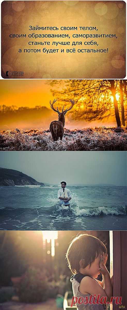 Если хочешь понять жизнь, то перестань верить тому, что говорят и пишут, начни наблюдать и чувствовать...

Антон Чехов