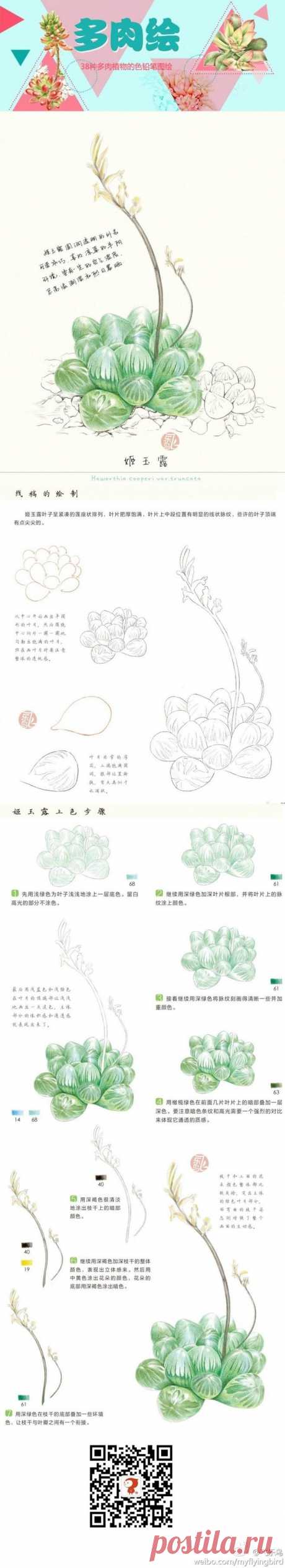 飞乐鸟的照片 - 微相册@阿狸~仔采集到色铅笔(381图)_花瓣