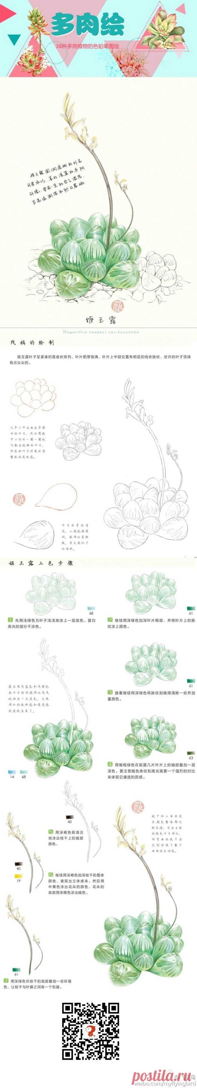 飞乐鸟的照片 - 微相册@阿狸~仔采集到色铅笔(381图)_花瓣