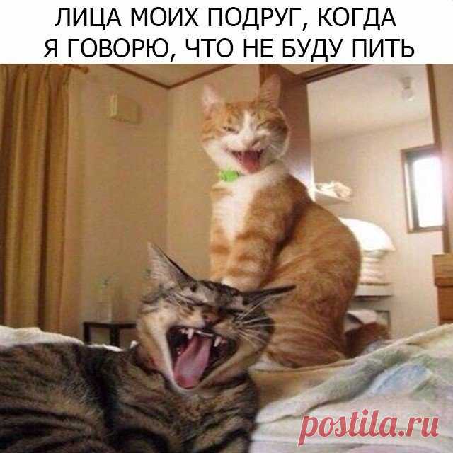 Интересные новости