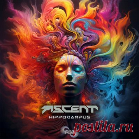 Ascent – Hippocampus