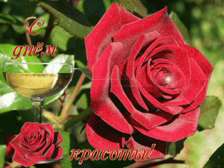 Весь мир наш наполняет красота,
Но видеть её — ценное искусство.
Кто-то прожить способен лет до ста,
Но в сердце и сознанье его пусто.