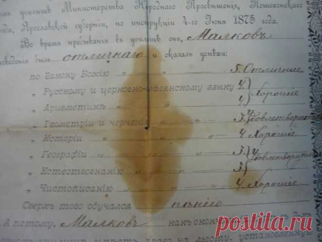 Свидетельство об окончании училища 1910 Ярославль Малков