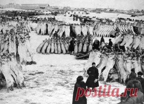 28 фотографий 100-летней давности, на которых запечатлены интереснейшие события из истории России
Торговля мясными тушами Курган, 1903 год.
