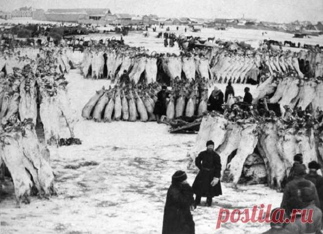 28 фотографий 100-летней давности, на которых запечатлены интереснейшие события из истории России
Торговля мясными тушами Курган, 1903 год.