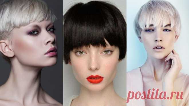 Стрижка шапочка: очевидный тренд осени 2018 года 

В поисках модной короткой стрижки на осень 2018 года? Мы уже нашли ее за тебя! Стрижка шапочка в 2018 году стремительно набирает популярность, поэтому пройти мимо такого тренда никак нельзя!


Особе…