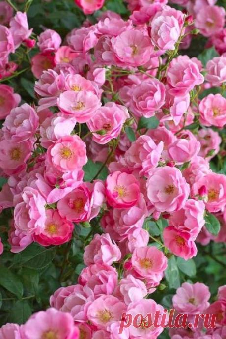 ‪#‎одежда‬ - Интересное | Facebook