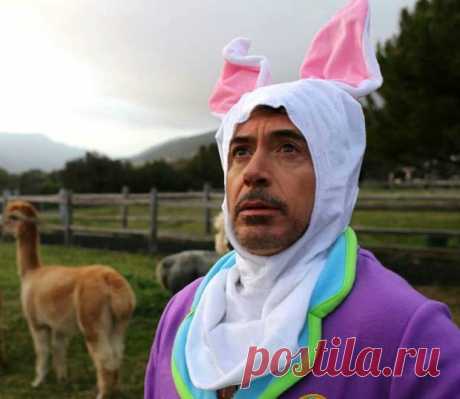 Путешествие Доктора Дулиттла: трейлер нового фильма с Робертом Дауни-младшим в главной роли