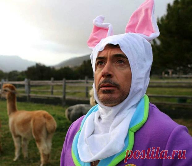 Путешествие Доктора Дулиттла: трейлер нового фильма с Робертом Дауни-младшим в главной роли