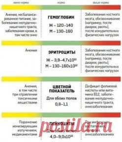 Анализ крови. Это нужно знать.