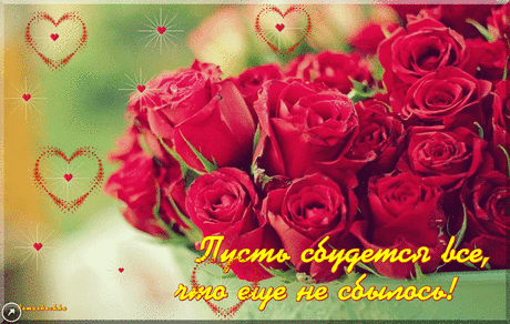 0_c9c60_3ea8a1ee_GIForig.gif (1248×792)