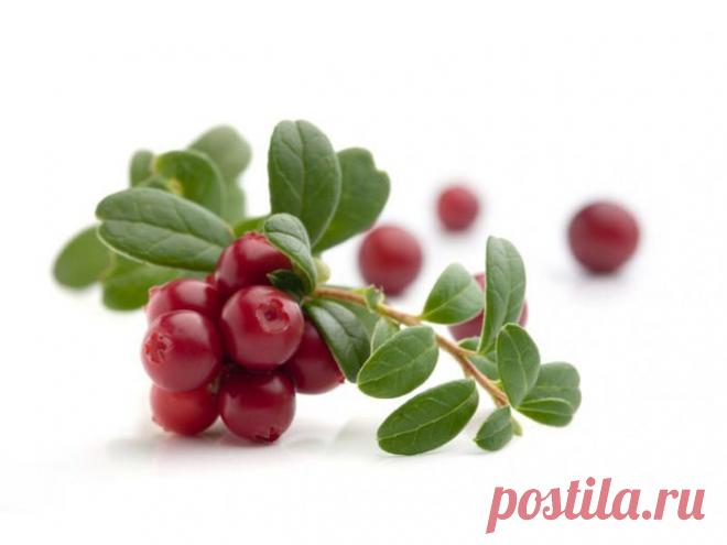 Очень просто лечим почки.